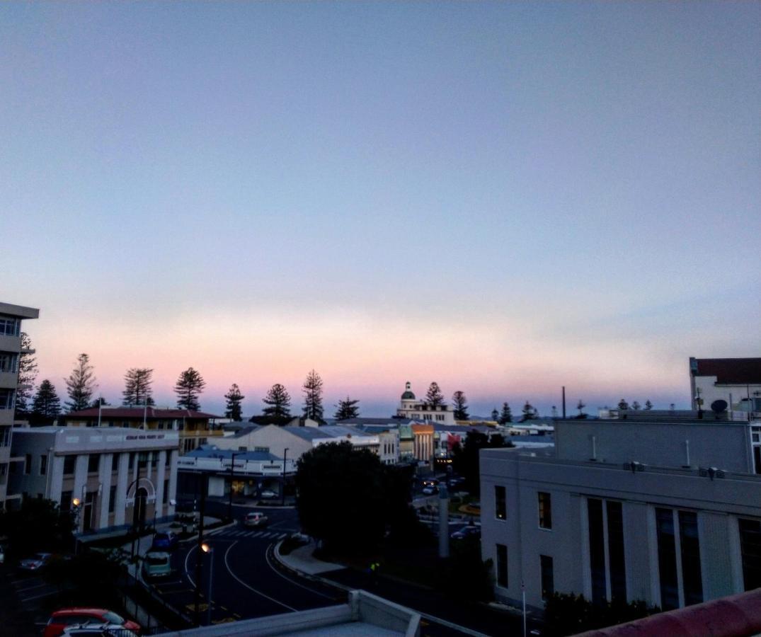 Crashpalace Backpackers Napier Extérieur photo